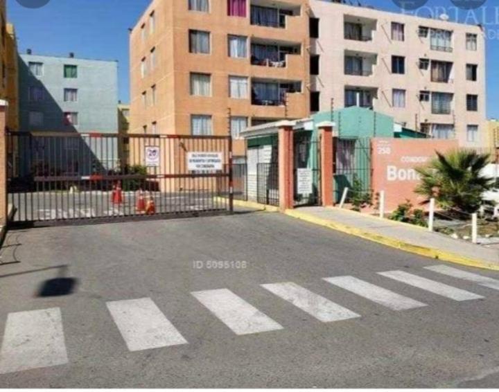 Excelente Departamento A Pasos Del Mar Lejlighed La Chimba Eksteriør billede